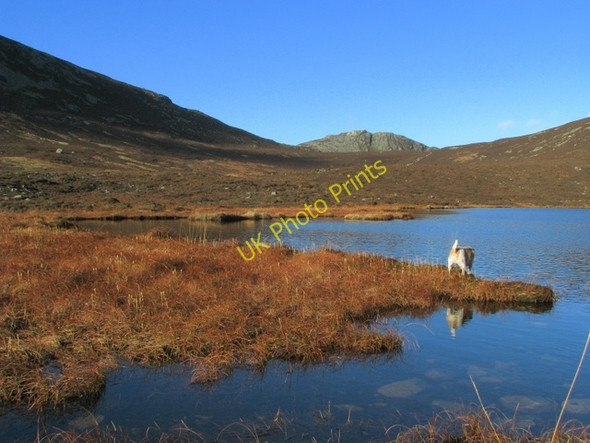Photo 6"x4" The Blue Lough Attical c2009