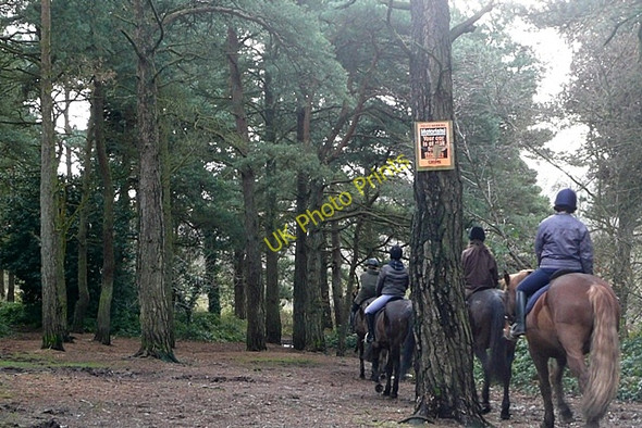 Photo 6"x4" Horse riding on East Budleigh Common Hulham c2009