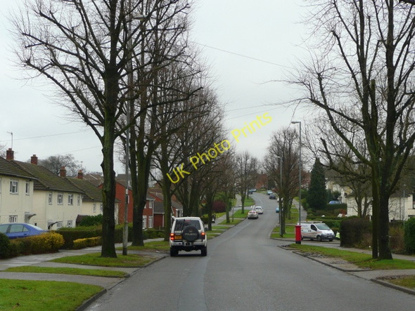 Photo 6"x4" Staple Lodge Road, Turves Green Turves Green c2009
