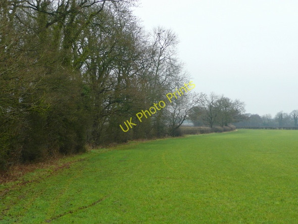 Photo 6"x4" Eastern edge of Wolvey Gorse Hopsford c2009