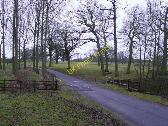 Photo 6"x4" Road through Baggrave Park South Croxton c2009