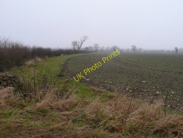 Photo 6"x4" Edge of a field Yawthorpe c2009