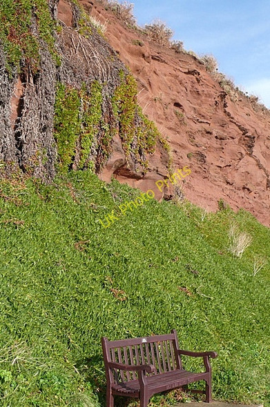 Photo 6"x4" Budleigh Salterton cliffs Budleigh Salterton c2009