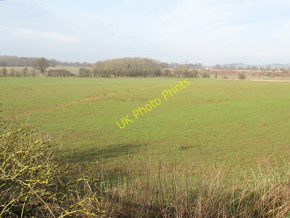 Photo 6"x4" Wet grassland in the Stour Valley Lenham Forstal c2009
