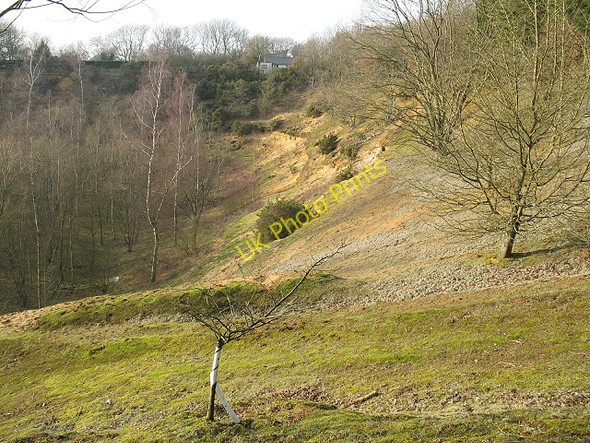 Photo 6"x4" Abandoned sand pit in Hurst Wood Coppins Corner c2009