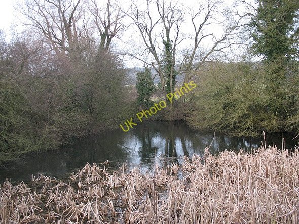 Photo 6"x4" Pond at Digges Court Tutt Hill\/TQ9746 c2009