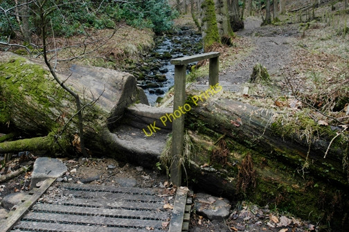 Photo 6"x4" Obstacle course Oakenclough\/SD5447 c2009