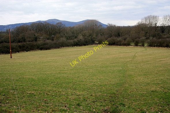 Photo 6"x4" Boynes Coppice and Meadows Nature Reserve The Hyde\/SO8340 c2009