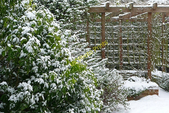 Photo 6"x4" A suburban garden in winter Reading c2009