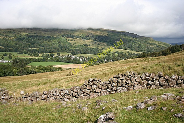 Photo 6"x4" On the Slopes of Dunmore Fintry\/NS6186 c2007