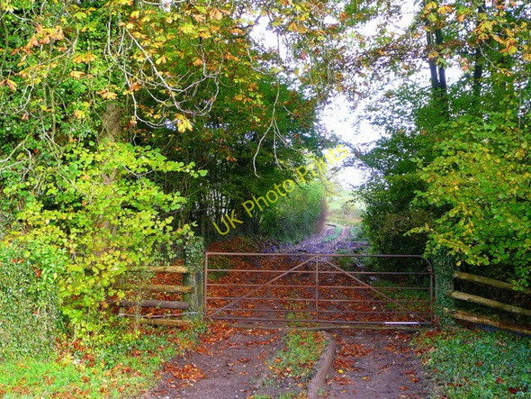 Photo 6"x4" Gated track to Redhouse Tal-y-coed c2008