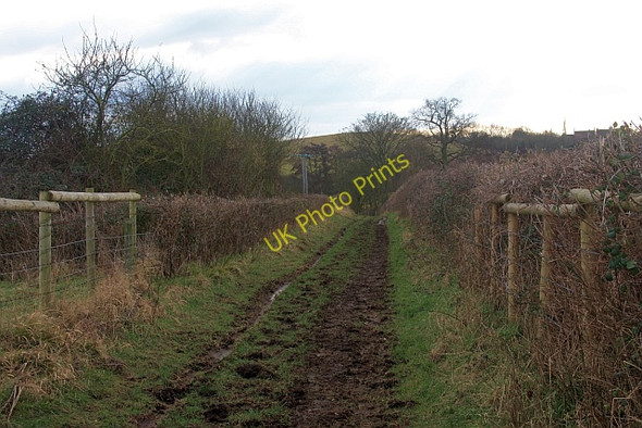 Photo 6"x4" The track to the Merebrook Church End\/SO8341 c2009