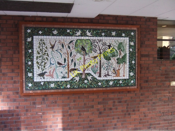 Photo 6"x4" Mural under Broadwalk House, Exeter Exeter c2009