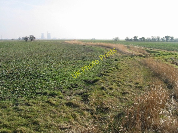 Photo 6"x4" Looking W across Ash Level from Goldstone Drove Lower Goldstone c2009