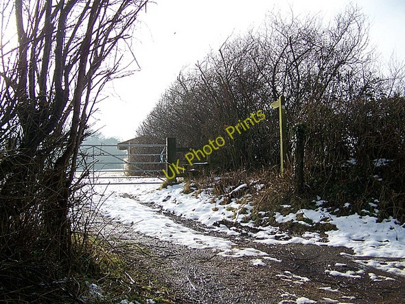 Photo 6"x4" Footpath near Damerham North End\/SU1016 c2009