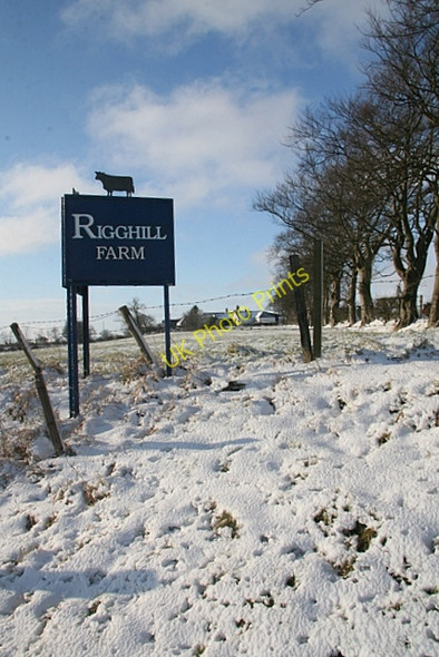 Photo 6"x4" Sign, Rigghill Farm Fenwick\/NS4643 c2009