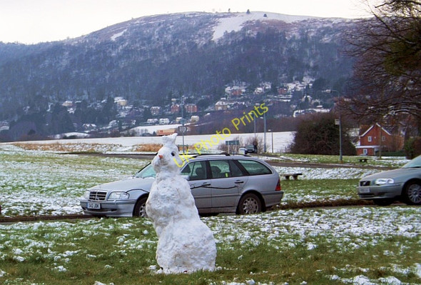 Photo 6"x4" Snow rabbit on Poolbrook Common Great Malvern c2009