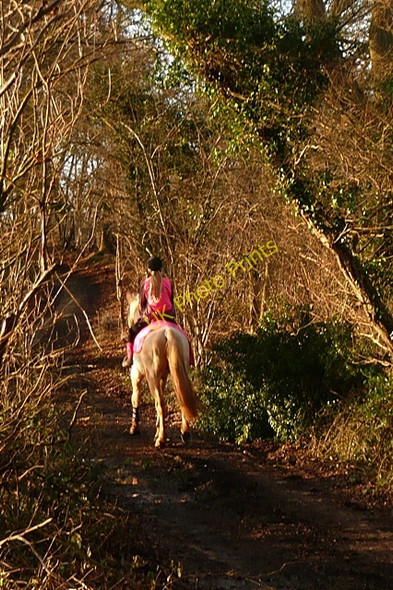 Photo 6"x4" Vision in pink Ashampstead Green c2009