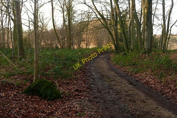 Photo 6"x4" Byway towards Aldworth Ashampstead Green c2009