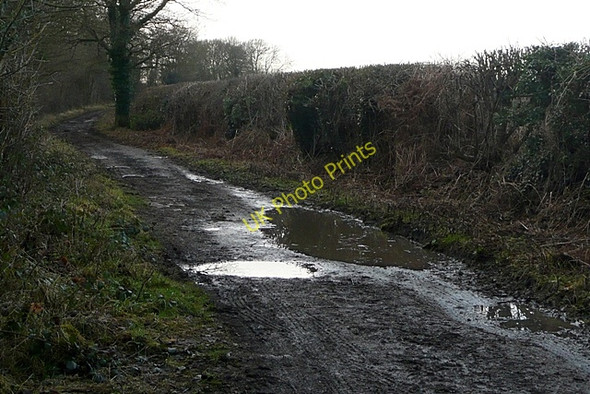 Photo 6"x4" Restricted byway towards Flaunden Bottom Flaunden c2009