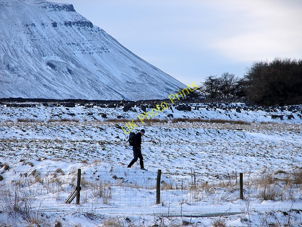 Photo 6"x4" Walker at Ribblehead Ribble Head\/SD7779 c2009
