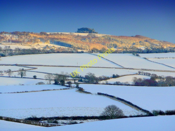 Photo 6"x4" May Hill in winter Bromsash c2009