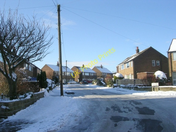 Photo 6"x4" Reedsdale Gardens - Street Lane Morley\/SE2627 c2009