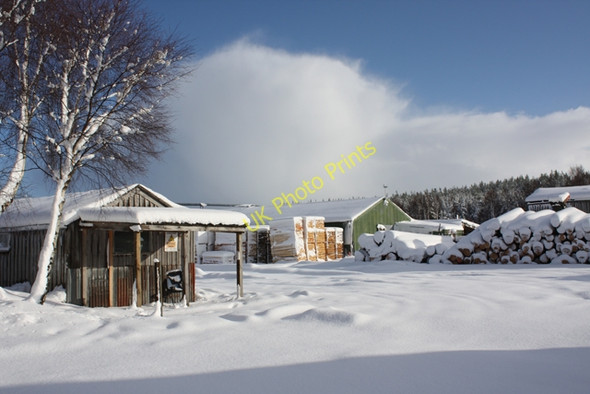 Photo 6"x4" Carrbridge Sawmill Ellan c2009