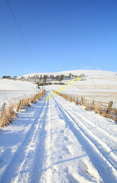 Photo 6"x4" Track to Culhawk Kirkton of Kingoldrum c2009