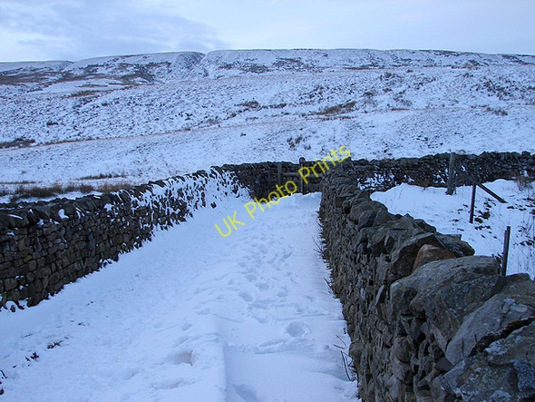Photo 6"x4" Bridge across the Settle & Carlisle Railway Ribble Head\/SD7779 c2009