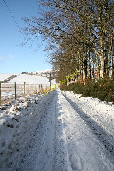 Photo 6"x4" Track to Culhawk Kirkton of Kingoldrum c2009