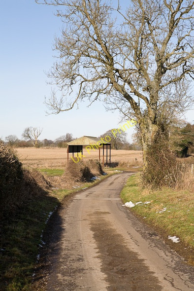 Photo 6"x4" Barn on Holden Lane, Beauworth Beauworth c2009