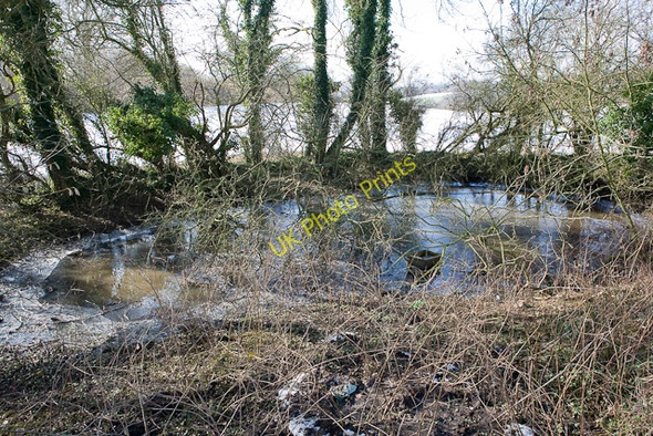 Photo 6"x4" Pond at Lane End Lane End\/SU5525 c2009