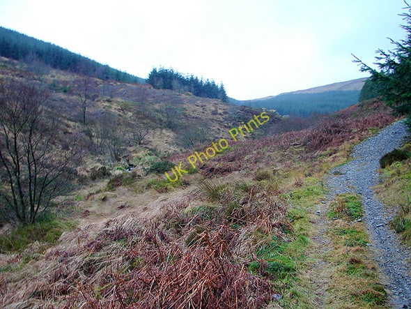 Photo 6"x4" The Wye Valley Walk beside  Afon Hore Pont Rhydgaled c2009