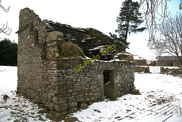 Photo 6"x4" Doocot, Wester Denoon East Nevay c2009