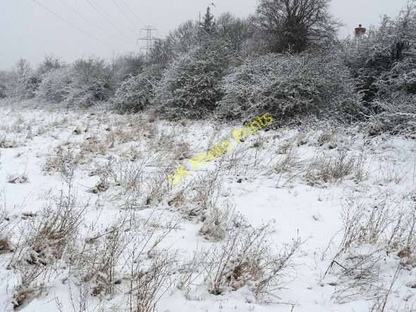 Photo 6"x4" Toton Manor Park Long Eaton c2009 P1