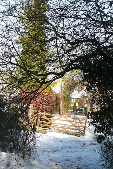 Photo 6"x4" Approaching Blewbury Blewbury c2009