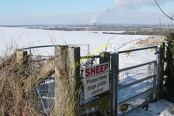 Photo 6"x4" Sheep, please keep dogs under control Woodway c2009