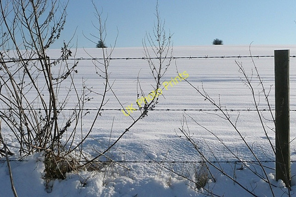 Photo 6"x4" Lowbury Hill Woodway c2009