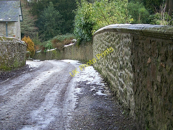 Photo 6"x4" Bridleway, Minterne Magna Minterne Magna c2009