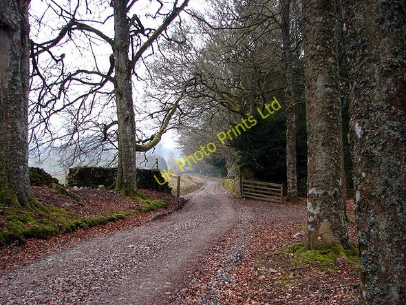 Photo 6"x4" Looking towards Old Blair Bailanloan c2007