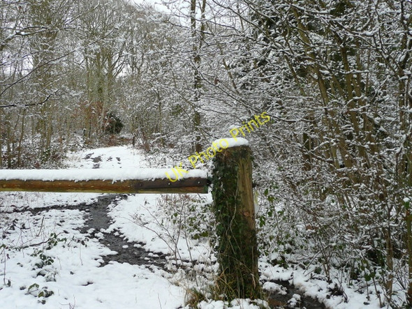 Photo 6"x4" Footpath and track through Linton Woods Linton\/SO6625 c2009