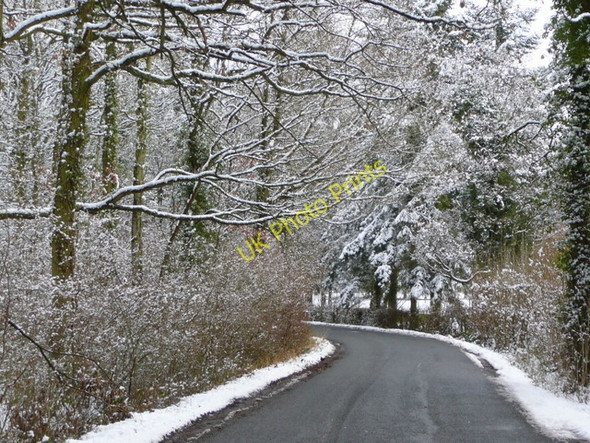 Photo 6"x4" Kempley Road 1 Linton\/SO6625 c2009