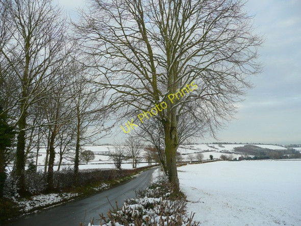 Photo 6"x4" Road to Linton Bromsash c2009