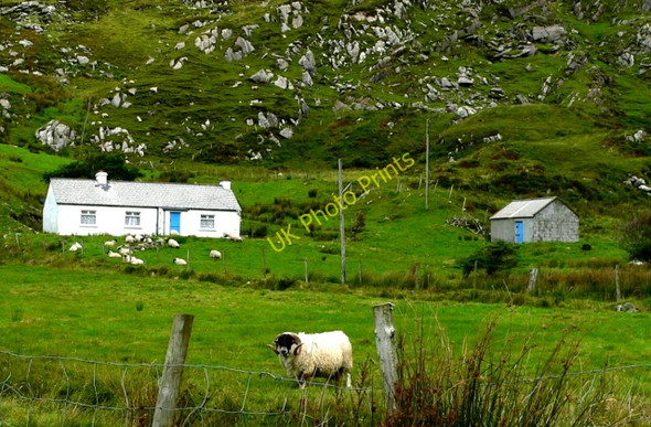 Photo 6"x4" Nice cottage, but no neighbours Kilgoly c2005