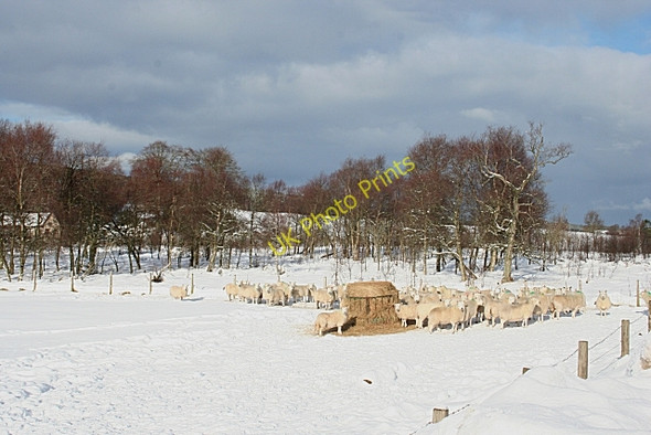 Photo 6"x4" Bossy Hillocks Berryhillock\/NJ5060 c2009