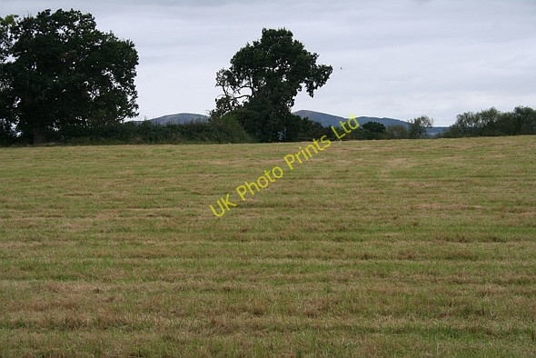 Photo 6"x4" Hay Meadow near Brook Hill Farm Brook End\/SO8649 c2007