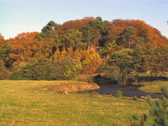 Photo 6"x4" Autumn Colours at Happendon Uddington c2005