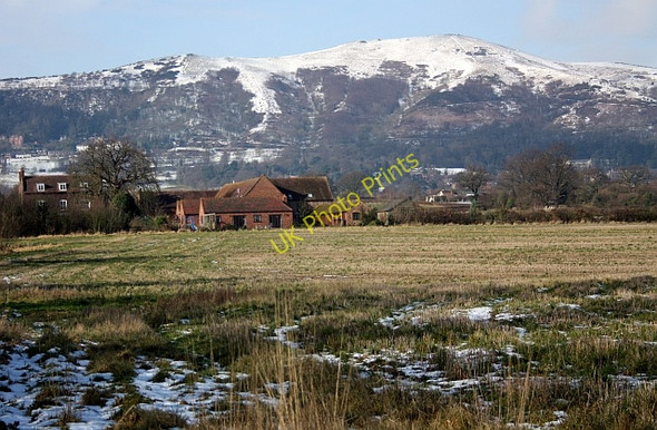 Photo 6"x4" Blackmore Park Farm Poolbrook c2009