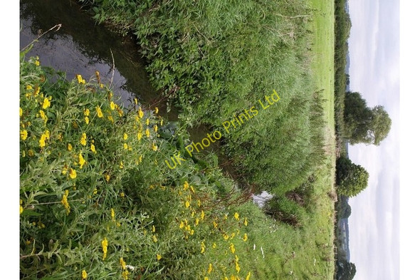 Photo 6"x4" Mill Stream Chilton Cantelo c2007